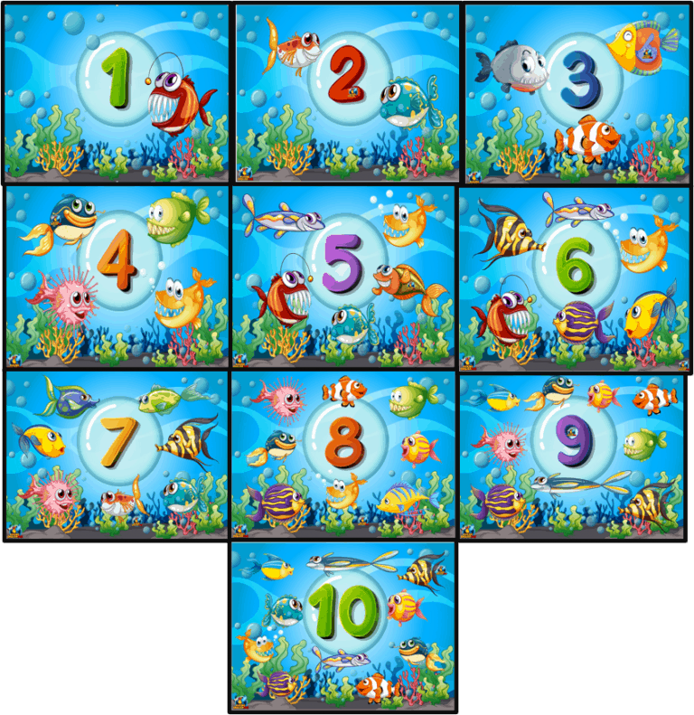 Fish Number Flashcards.