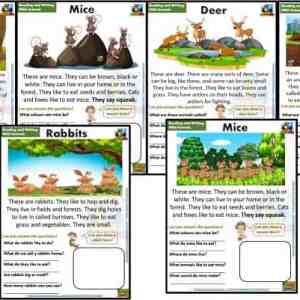 FREE guided reading worksheets and readers Forest animals