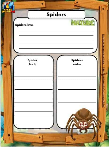 Free Animal Writing Worksheets for ESL Spider