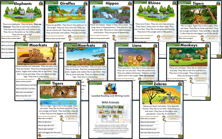 Reading and Writing Comprehension Cards – Wild Animals – Kindergarten and Young Learners