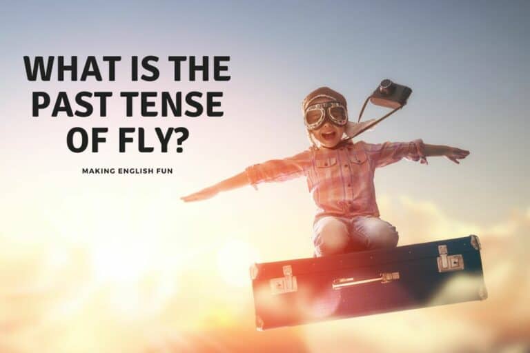 What is the Past Tense of Fly