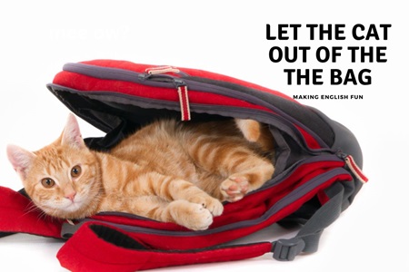 English animal idiom let the cat out of the bag