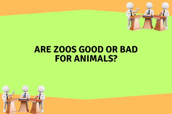 Are zoos good or bad for animals?