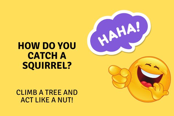 funny kindergarten jokes