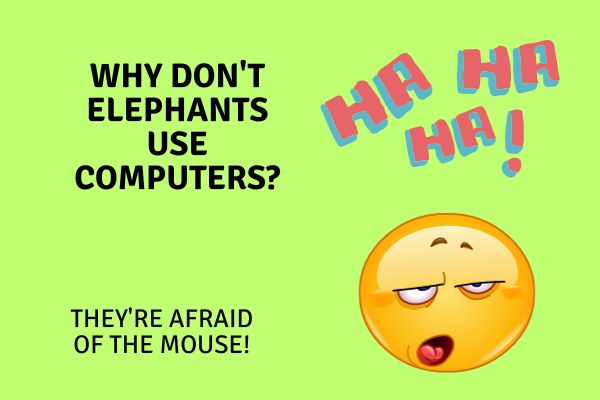 funny kindergarten jokes