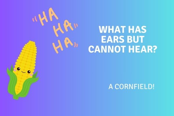 funny kindergarten jokes