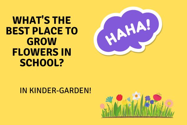 funny kindergarten jokes
