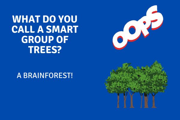 funny kindergarten jokes