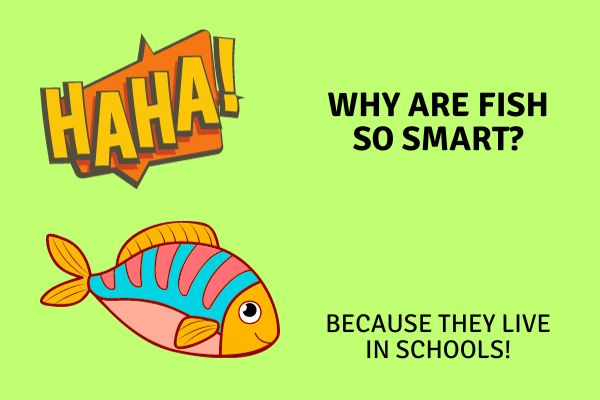 funny kindergarten jokes