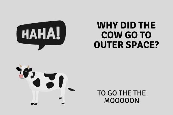 funny kindergarten jokes