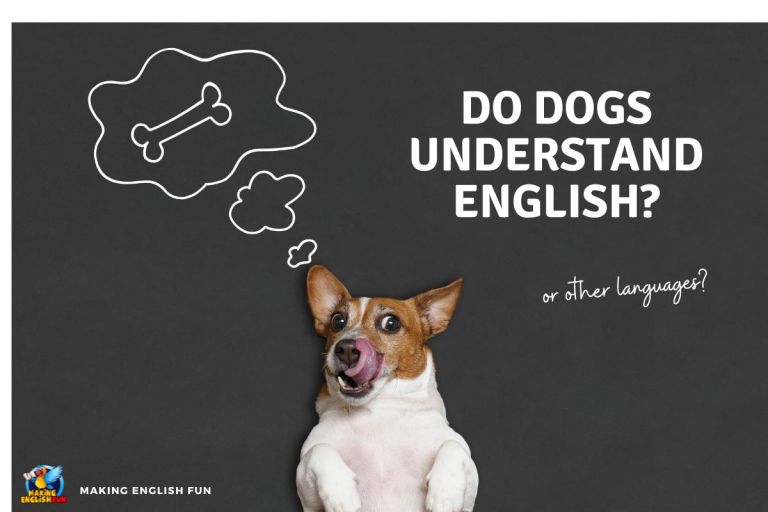 Do Dogs Understand English?