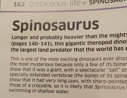 bold text non fiction